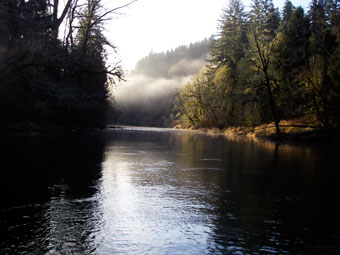 Rogue River Hatch Chart